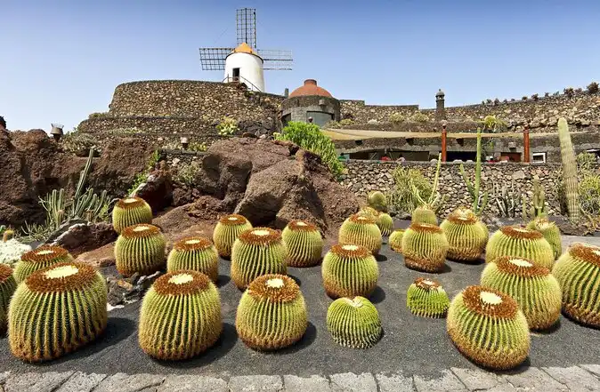 Jardín de Cactus
