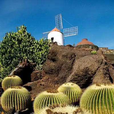 Jardín de cactus